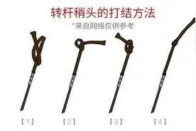 新手钓鱼如何快速学习主线、子线的绑法及线号选择？图片