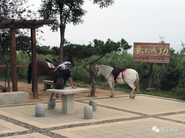 辽宁随记（7）：那年葫芦岛兴城三礁揽胜与龙回头