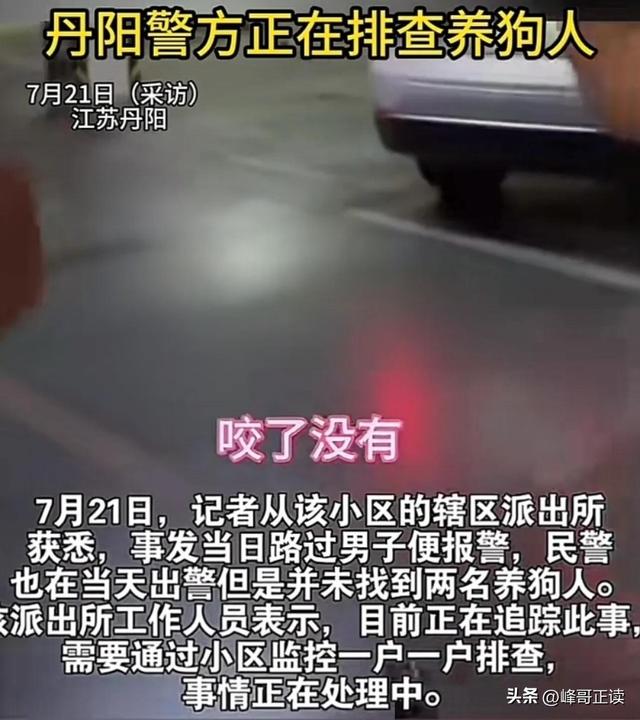 丹阳杜宾犬最新后续：网友不满处理依旧炸锅，养狗人终于登门道歉