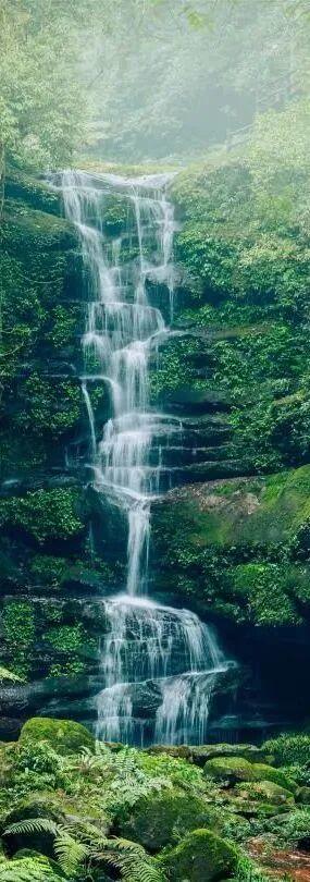 悦·遵义丨赤水上榜《中国国家地理》杂志“中国最美瀑布”挑战者榜单！