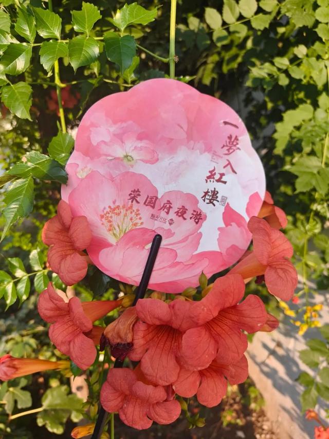 期待值满满！「一梦入红楼主题年会」来了