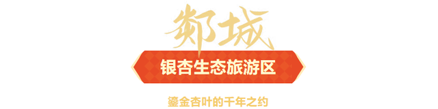 临沂人游临沂｜赶郯城大集吃刚出锅的烧鸡，初冬游古郯烟火