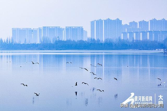 冰雪消融春归处 文瀛湖畔鸟翩跹