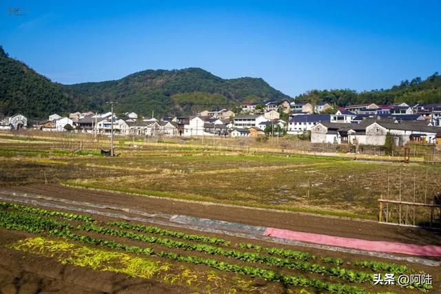 以“冢斜”为美？绍兴有座大禹后裔集聚村，人文和古建筑相辅相成
