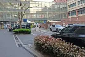 2.8 万元转运800 公里，“生命通道”变成吸血链条？图片