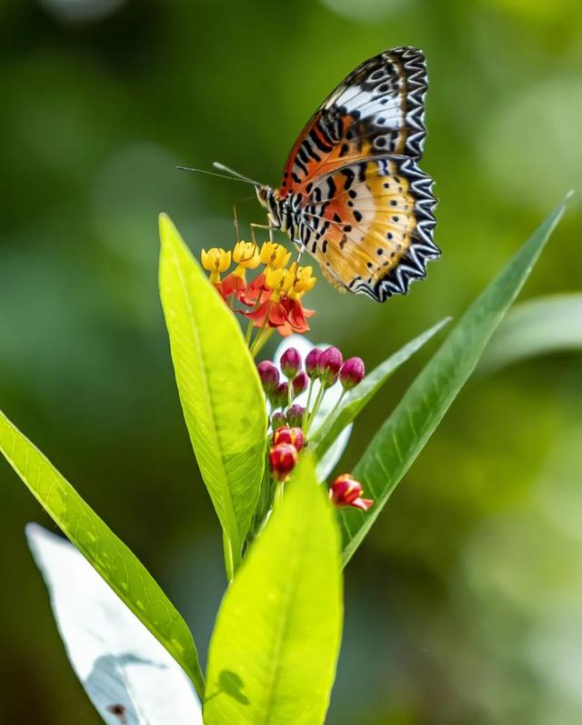 马上来“临” “沂”起过年｜爬一座沂蒙的山
