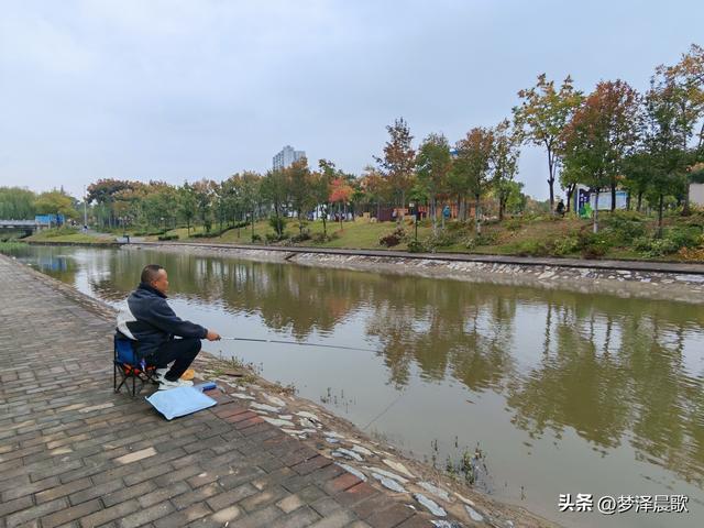 云梦生态浮岛的三重奏