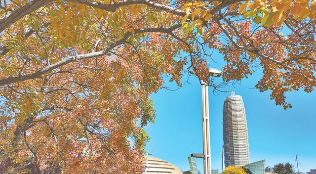 秋天美了一座城！郑州这些景观大道很出片