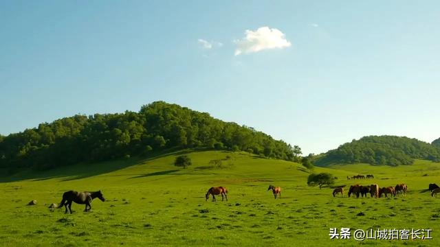 陕西“焦虑”的地级市，曾是枢纽如今面临边缘化，为啥非去不可？