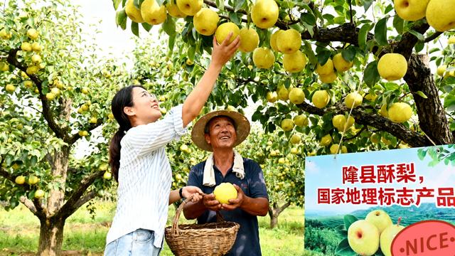 2025旅游封神名场面盘点！反向游、非遗潮，这届游客把日子过成诗