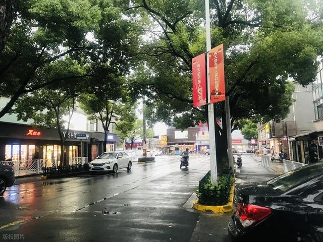 散文·中秋连云港 大雨润山河