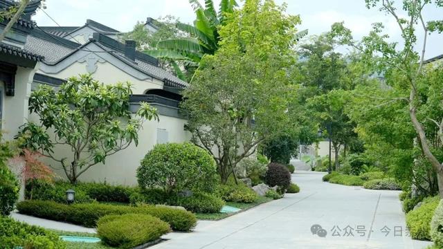 正式开放！崇州再添文化体验新地标