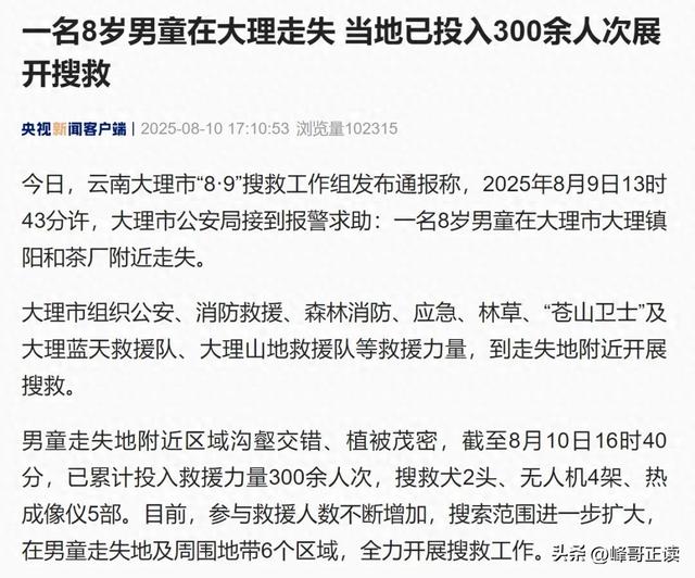 苍山自闭症男孩失联已3天：恶心一幕出现，更多人被无端质疑！