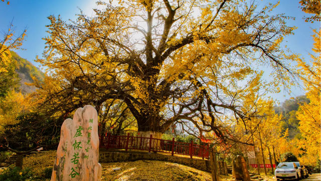 玩转安陆，“码”上开启！