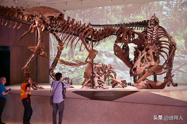 霸王龙化石，月球岩石...阿布扎比自然历史博物馆在11月22日开放