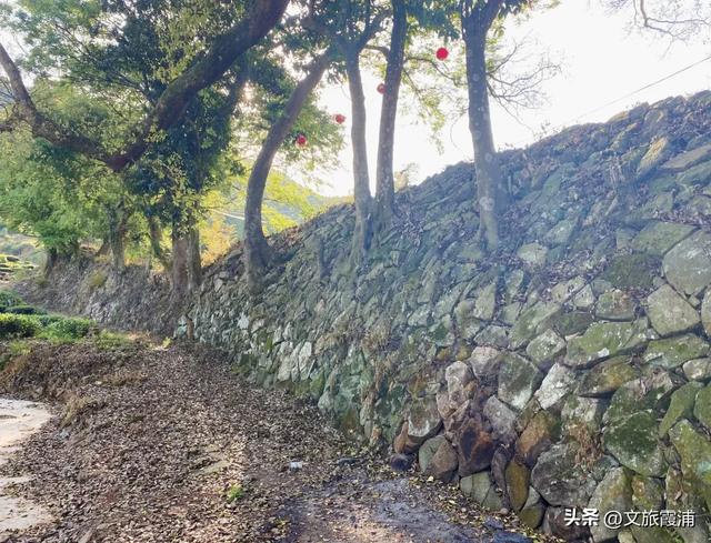 重磅！霞浦又有四处列入省级文物保护单位，山海古城再添文化金名片