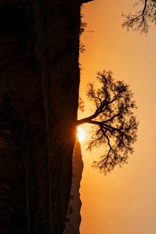 分享图片一日出东方美景，真是太美了！