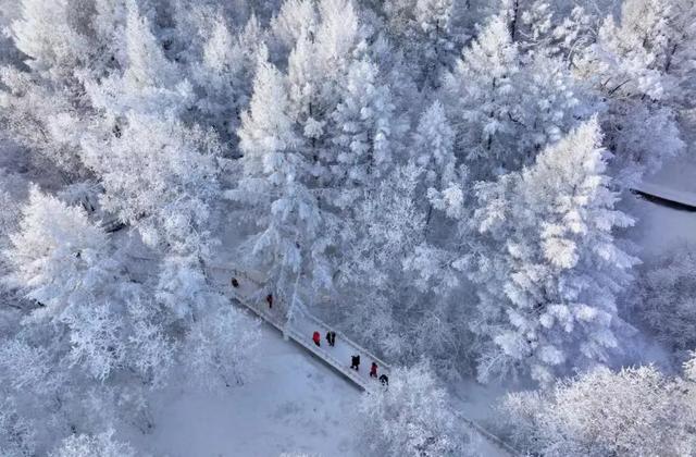 解锁“童话阿尔山”正确打开方式,教你玩转北疆冰雪季