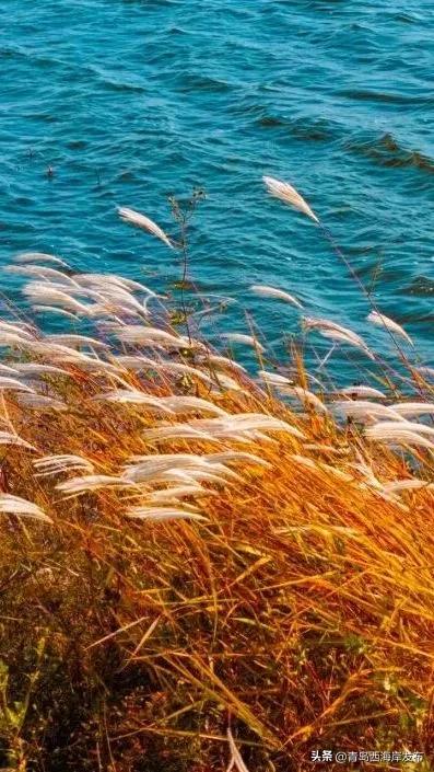 走不出这画了,我已被西海岸的秋景迷倒 🥹