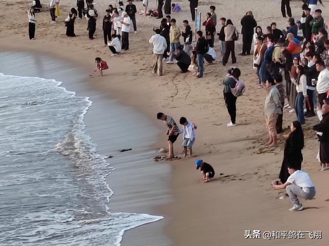 厦门海滨的落日之梦