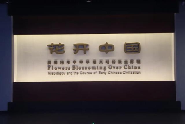 花开中国：庙底沟博物馆里，彩陶绘就的“最早中国”