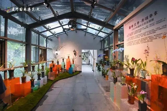 园博苑灯会、市集“常驻”啦！还有绝美花海……