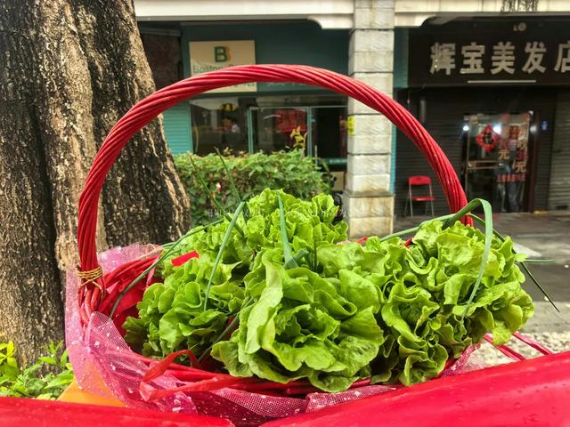 2026佛山行通济全攻略:400多年民俗盛宴,行桥祈福逛吃全攻略