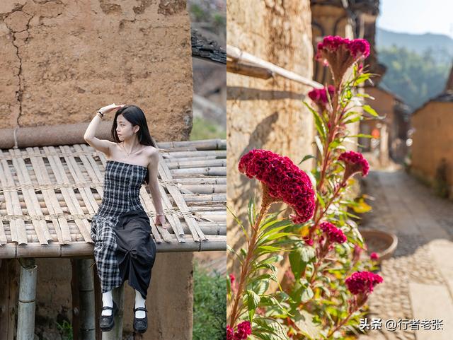 走遍浙江古村落，为了看一棵枯树，我骑行一千公里来了两趟松阳