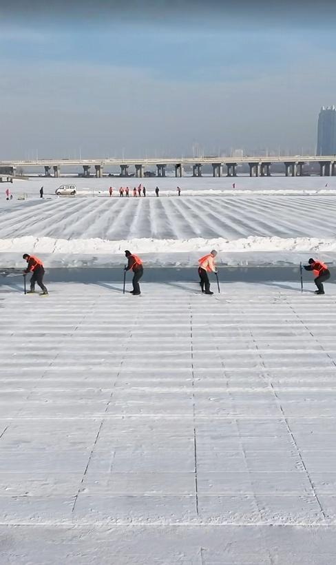 我是湖南人，在哈尔滨待了几日，这 4 个感受和疑惑忍不住想说。