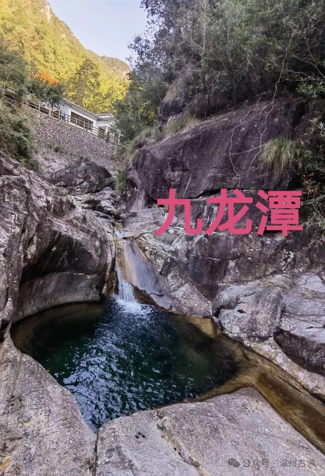 温州这个国家森林公园藏着深秋醉美的秋色,你可去过?