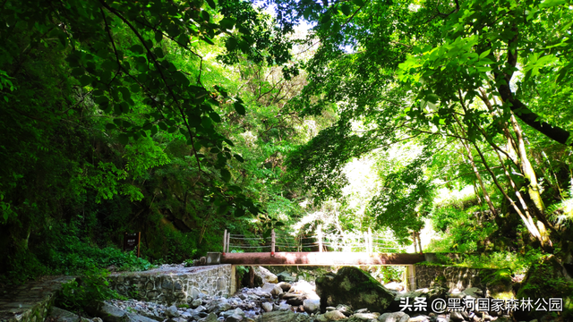 五一宝藏旅行地！2h直达秦岭天然森林氧吧
