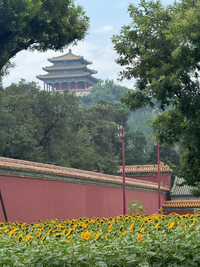 焕活中轴 | 景山紫禁之巅，望光影中轴