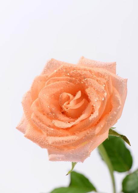 对老公寒心后，女人这么做，不离也能活得漂亮