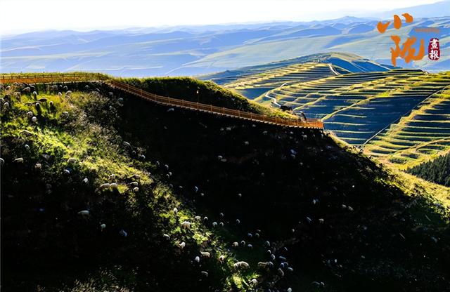 【联动宣传】武威天祝大红沟 邀您共赏秋日美景