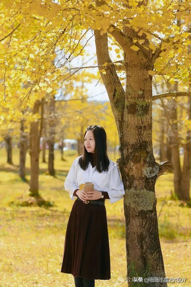 腾冲秘境：火山沉寂，绽放的地质与自然之美