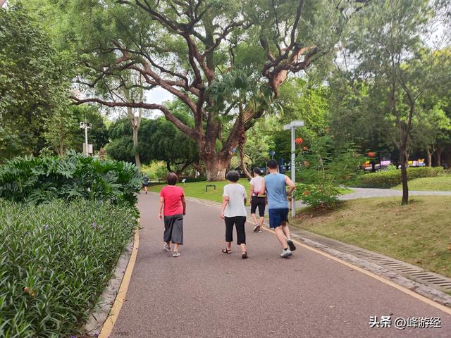 桦加沙到来前的北海之行，从中山公园开启