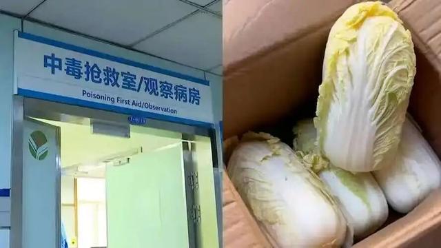 网购娃娃菜致全身出血？警方调查已锁定毒源：旧报纸包装惹的祸；娃娃菜鼠药非田间喷施