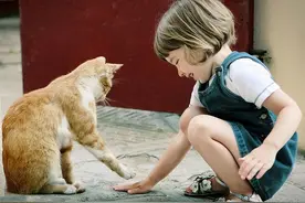 养猫还能“治病”？长期养猫会给你带来这几个好处，早了解早受益图片