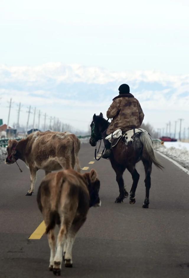 如要选一个冬季最佳拍雪景的地方,首选一定是它