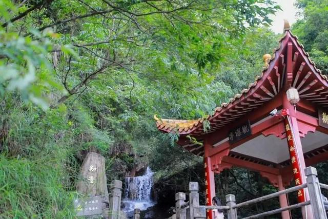 翡翠结界全开！来观音山打卡现实版的绿野仙踪，带你沉浸式过凉夏