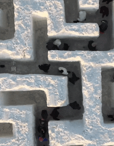 12月20日迎客，“开”在市中心！