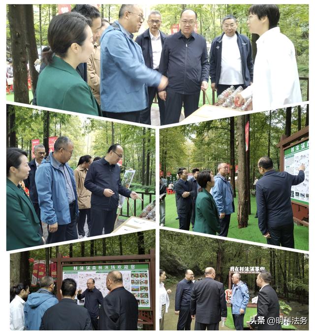 “花样茅箭·如是生活”赛武当自然体验营地邀您共赴生态之约