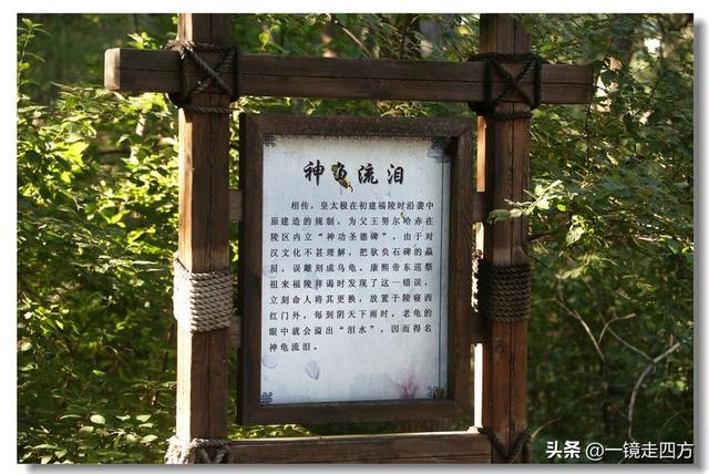 沈阳东陵郊野公园“精灵”出没