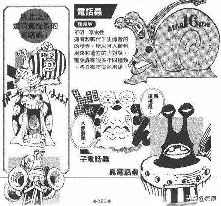 海贼王十大未解之谜！TOP1竟让尾田装傻20年，答案藏在最终章？