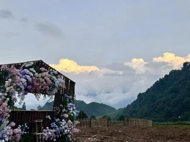 马里冷旧惊现萌宠?黑竹沟彝人牧场小憩营地+驼语小筑+鹿町花阶+矮驹巷陌+绵毛小驿…现已开园,门票免费送!