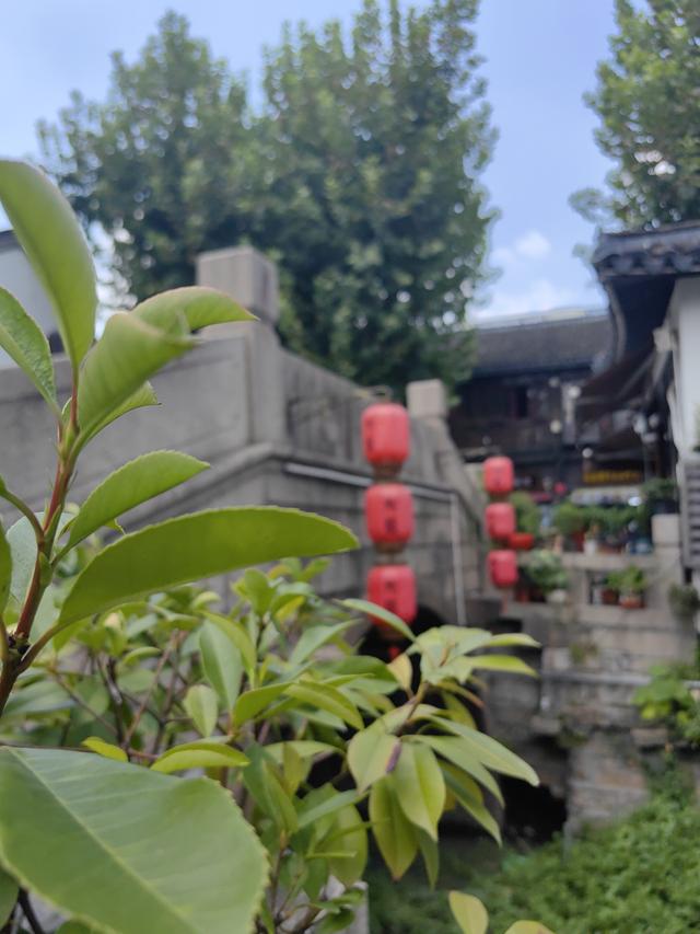 嘉定之根—上海AAAA级旅游景区