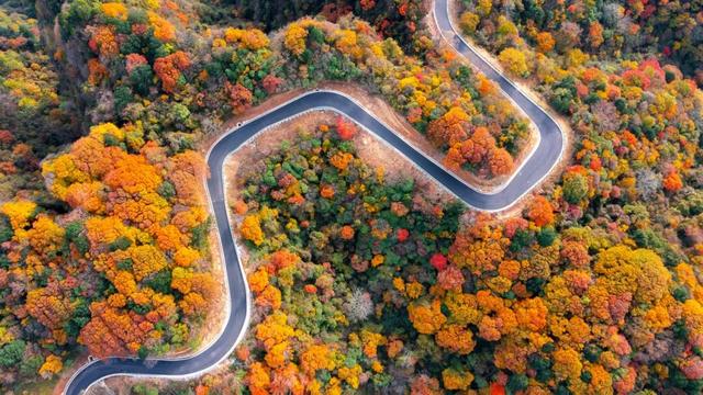 从博主镜头到人民日报！旺苍盐井峡红叶火了！