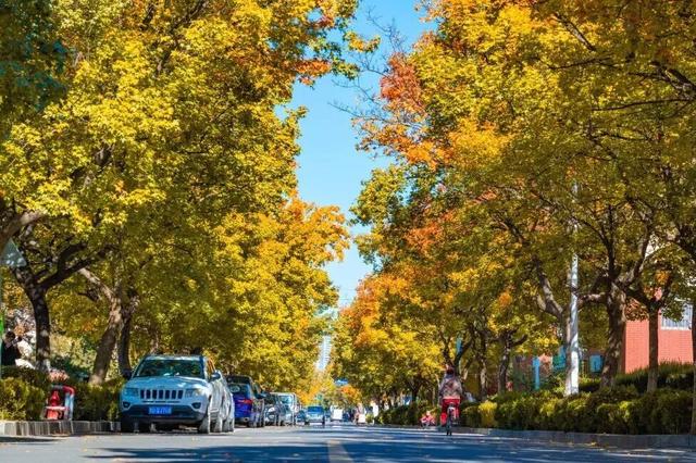 打卡限时浪漫，一键收藏隐珠街道最美秋色！