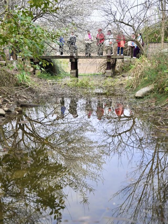 赏花何必等春！这个冬天，成都花儿都开men了→