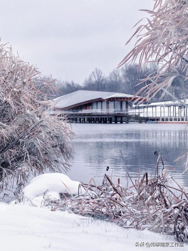 一场大雪，南京暴增20多个“5A景区” ！